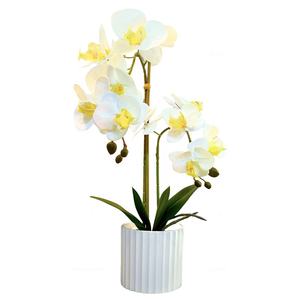 Nuovo stile orchidea vero tocco per sempre <span class=keywords><strong>fiori</strong></span> <span class=keywords><strong>vaso</strong></span> per piante <span class=keywords><strong>fiori</strong></span> artificiali decorativi - Product Image 1