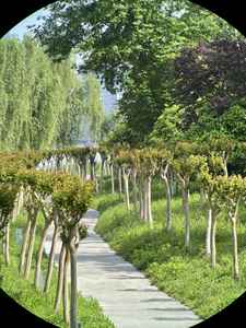 Chegada mais recente 10X42 ED Corpo De Metal Verdadeiro ED APO Lens Telhado Binóculos À Prova D' Água Bak4 Prisma para Bird Watching Caça Camping - Product Image 6