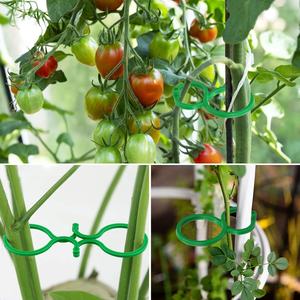 Clips en plastique réutilisables de haute qualité pour plantes vertes, pour le jardinage, le soutien des plantes grimpantes, résistants aux intempéries, aident à sécuriser les semis de plantes - Product Image 3
