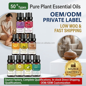 Aceites Esenciales 100% Puros de Plantas al por Mayor, 10 ml, Aceite de Aromaterapia Orgánico para Difusor y <span class=keywords><strong>Humidificador</strong></span>, Marca Privada OEM, Aceite de Fragancia - Product Image 3