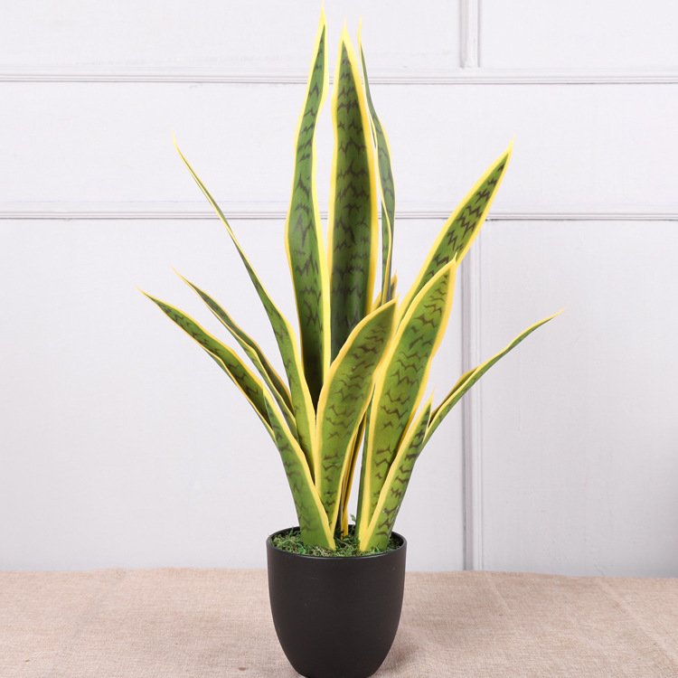 Tigre piran-giallo-piccola 66 cm