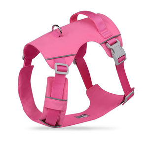 2026 Lightweight Breathable Waterproof Anti-Escape Nylon Wholesale Pet Harness Adjustable Designer Custom <b>Dog</b> <b>Leash</b> Chest Strap - Product Image 5