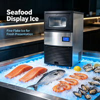Machine à glace pilée commerciale 60 kg/jour, certifiée CE, à faible consommation d'énergie, production rapide de glace fine pour buffets de fruits de mer, restaurants, bars et pubs