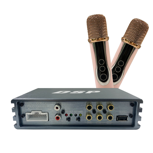 AB Class Amplifier with Aluminum Housing, 32-Band DSP Tuning HPF/LPF Dual Microphone, Suitable for KTV HiFi Car Audio Upgrade