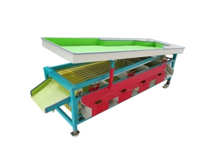 Machine de tri de légumes commerciale à haut rendement et haute efficacité, machine de tri de tomates à bas prix - Product Image 2