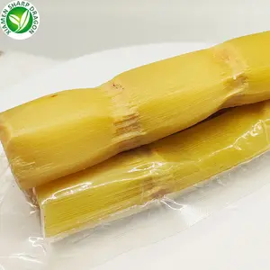 Wholesale Fresh Yellow Sugar Cane Peeling Sugarcane Import Sticks Wild Bulk Biodegrade Able Packaging