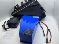 Batterie triangulaire personnalisée en promotion pour VTT électrique, 48V 13Ah 20Ah 28Ah 30Ah, modèle PCV à coque rigide