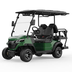 Voiturette de golf tout-terrain avec espace de rangement, véhicule multi-usages pour passagers, personnalisable avec logo pour le marketing - Product Image 2