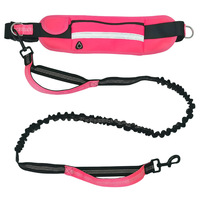 Laisse de chien confortable pour l'extérieur, résistante à l'usure et aux déchirures, sac de randonnée mains libres, fixation à la taille pour chien, voyage
