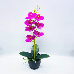 Nouvelle orchidée Phalaenopsis artificielle à 7 fleurs, plante en pot en soie pour la décoration intérieure - Product Image 3