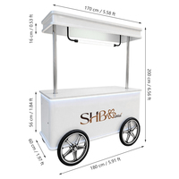 Carrito de Exhibición Metálico de Lujo, Kiosco Portátil para Joyería, Café, Helados, Eventos, con Toldo, Ruedas, Iluminación LED, OEM