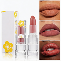 Rouge à lèvres mat non desséchant, couleur transparente avec étui floral mignon, rouge à lèvres pigmenté longue tenue pour usage quotidien