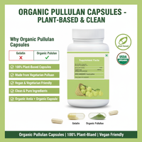 Complément alimentaire à base d'Amla, complément naturel de vitamine C, extrait d'Amalaki, éclat de la peau et croissance des cheveux, capsules d'Amla