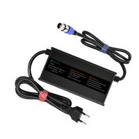 Chargeur rapide plomb-acide Lifepo4 batterie 12v 15a chargeurs de batterie bobine Module de chargeur sans fil à induction