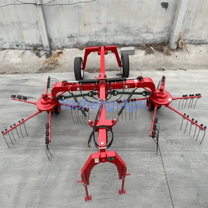 Matériel agricole : <span class=keywords><strong>Tracteur</strong></span> avec attelage 3 points, machine à aérer le foin 9LX-5.0 avec double disque - Product Image 4