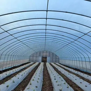 New Reinforced Plastic Greenhouse Tunnel For Gardens Farms And Manufacturing Plants