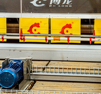 Pollame allevamento di polli macchina per la raccolta delle uova attrezzatura per l'alimentazione del pollo attrezzatura automatica per la raccolta delle uova