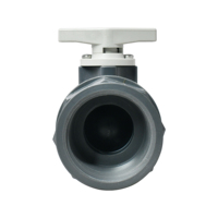 Vanne à boisseau sphérique manuelle UPVC à 2 voies DN15 DN20 DN25 DN32 avec filetage femelle NPT, fournie par l'usine OEM TONHEFLOW, pour eau et gaz