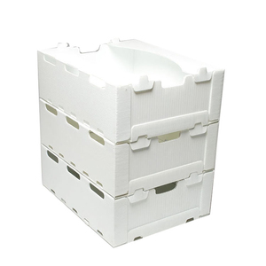 Tươi Nho Giao Thông Vận Chuyển Hộp Mạnh Mẽ PP Hollow Bảng Điều Chỉnh Sóng Nhựa Container Thông gió Trái Cây Vận Chuyển Thùng - Product Image 2