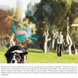 Pet Frisbeed köpek çiğnemek top oyuncaklar için agresif checheinteraktif uçan disk egzersiz oyuncaklar Rebound Frisbeed topları - Product Image 3