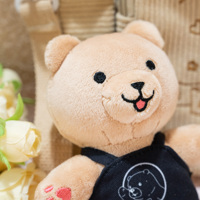 Porte-clés en peluche ours personnalisé OEM ODM, pendentif ours en peluche mignon avec logo personnalisé, en coton PP super doux pour promotion de marque