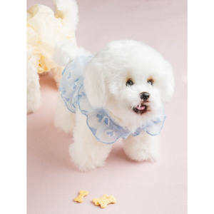 Ropa transparente Pet Croptee L Heart - Product Image 1