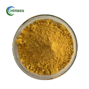 100% Natural Plant Extract theanine 20% Green Tea Powder Extract 002