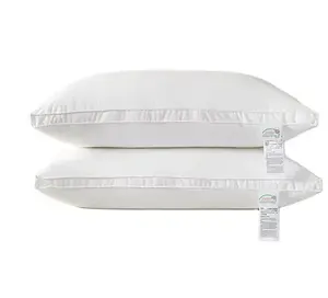 Usine directe <span class=keywords><strong>5</strong></span> étoiles Collection d'hôtel Hilton de luxe rembourré de duvet d'oie en microfibre pour dormir Oreiller blanc Hôtel Hilton - Product Image 5