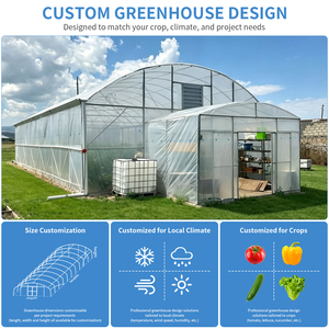 Vegetable Production Agricultural Seeds Strawberry Greenhouses Multi Tunnel