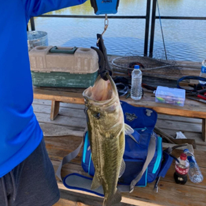 Nuevo diseño de nylon + 30% farbic <span class=keywords><strong>Mini</strong></span> alicate de agarre de pesca, pequeño y exquisito, fácil de llevar, para señuelo \ pesca en bote, herramientas - Product Image 6
