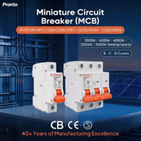 Miniatur AC MCB Circuit Breaker Perlindungan Kebocoran Beban Berlebih Arus Residual Pemasangan Din Rail 240/415V Kapasitas Pemutusan 6kA