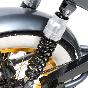 Ruota color oro TXED 48V 250W fuoristrada 7-speed bicicletta elettrica da terra per due piloti - Product Image 4