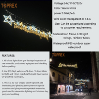 CE-Zertifizierte Kommerzielle 2D LED Weihnachtsstern-Straßenmotiv-Beleuchtung IP65 Wasserdicht Anpassbare Außen-Feiertagsdekoration