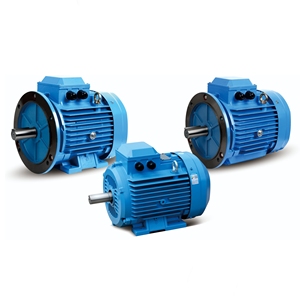 Moteur électrique asynchrone triphasé AC 50Hz IE4 Efficacité IP55 de haute qualité 380V/220V 4kw 5.5hp YE4-132M1-6 - Product Image 2