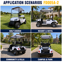Carrito de Golf Eléctrico Chino al Por Mayor, Todoterreno, 4 Ruedas, Personalizable, de 2 Plazas, en Venta
