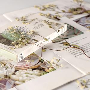 Tang Song Buds Avec Branches Vraie Fleur Fleur Séchée Matériel Paquet Ins Net Rouge Beauté Visage Décoration Fleur Pressée - Product Image 3