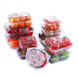 Clamshell Box Wholesale Disposable Clear Plastic Fruit Clamshell Punnet Box Packaging Container