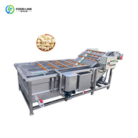 Multifunctionele apparatuur voor de productie van groentepasta, geschikt voor de productielijn van gember-, chili-, ui- en knoflookpuree.