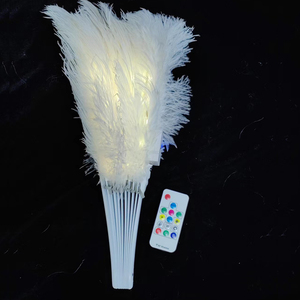 <span class=keywords><strong>2024</strong></span> plus récent promotionnel USB rechargeable LED artisanat pliable plume ventilateur à main Led ventilateurs de danse - Product Image 4