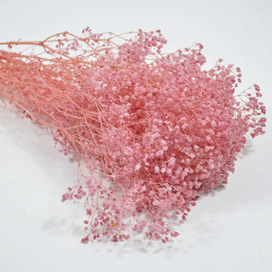 Vente en gros de fleur de rêve séchée millions d'étoiles préservée Décoration de la maison pour l'obtention du diplôme Noël Nouvel An chinois et fête des pères - Product Image 5
