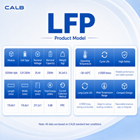 Module CALB D230AH-1P8S 25.6V 230Ah LiFePO4 5.88kWh Seulement 36.2kg 162Wh/kg Haute énergie Conception légère