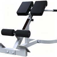 Chaise romaine réglable et pliable, banc d'hyper-extension portable robuste pour la maison, équipement de fitness pour l'entraînement des lombaires, du dos et des fessiers
