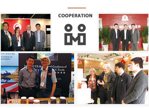 QINSHANTANG yüksek kalite 100% saf ve doğal OEM ODM siyah karınca özü 30:1 toz - Product Image 4