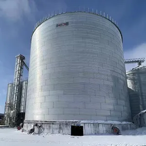 Petit grain silos 50T 100T 150T Chine fabricant top 3 # silo grains riz cosse de blé maïs maïs paddy de stockage des silos à grain