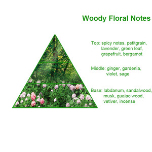 Notes florales bois <span class=keywords><strong>parfum</strong></span>ées pour hommes, huile de <span class=keywords><strong>parfum</strong></span>, vente en gros, <span class=keywords><strong>212</strong></span> - Product Image 2