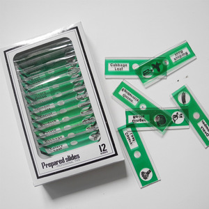 Lames microscopiques, lames en plastique, ensembles de lames sur le thème des plantes, lames microscopiques pour les écoles primaires et secondaires, pour enfants - Product Image 1
