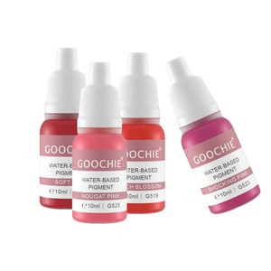 Goochie 18 Couleurs Pigment Hautement Saturé Pour La Micropigmentation Des Sourcils Des Lèvres - Product Image 3