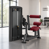 Équipement d'extension dorsale en acier pour salle de sport commerciale, prix usine