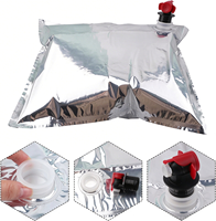 Sac aseptique personnalisé en boîte avec valve Vitop, qualité alimentaire, étanche, sac BIB 3L 5L 10L pour l'emballage de vin et de liquides