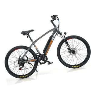 Bicicleta de Montaña eléctrica para adultos, bici de 24 velocidades con batería de litio de 500W y 48v, productos nuevos